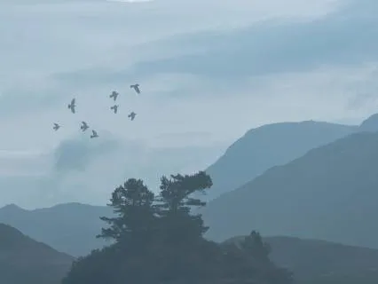 Yoga Nidra For Burnout Recovery