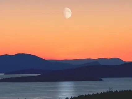 Yoga Nidra For Honouring Rhythms