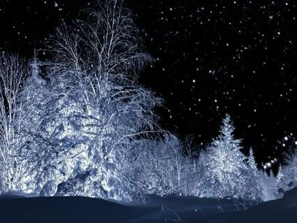 Yoga Nidra For Honouring The Dark