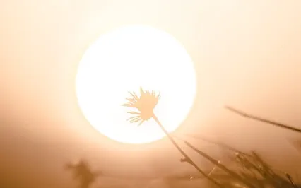 Yoga Nidra For Illumination