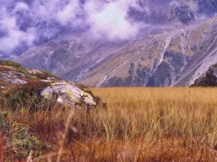 Transmission For Individuation And Awakening | With Music