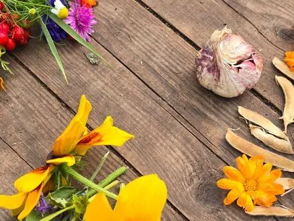 Yoga Nidra for Indre Ro