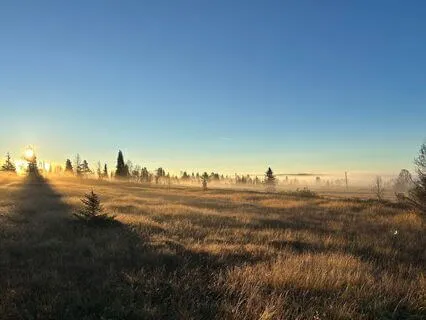 Yoga nidra for indre trygghet