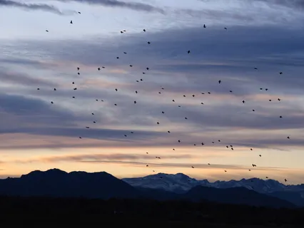 Yoga Nidra For Inner Healing | Restorative Meditation 