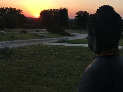 Yoga Nidra For Inner Peace And Harmony