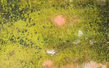 Yoga Nidra For Inner Peace