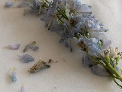 Yoga Nidra For Inner Peace