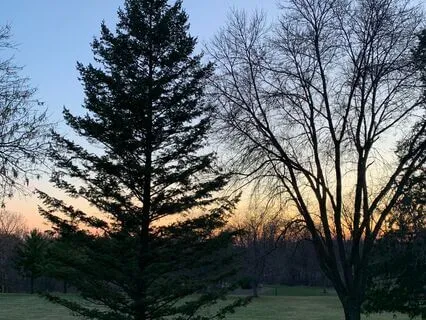 Yoga Nidra For Insomnia: Fall Asleep With Gentle Ocean Waves