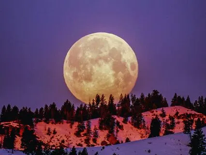 Yoga Nidra For Kids Of All Ages: Beyond Earth