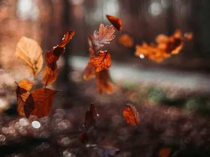 Yoga Nidra For Letting Go