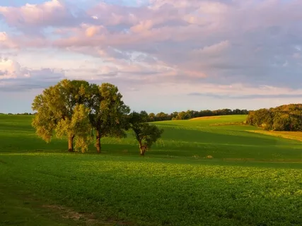 Yoga Nidra For Letting Go