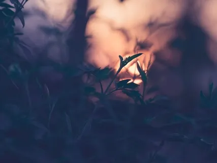 Yoga Nidra For Letting Go