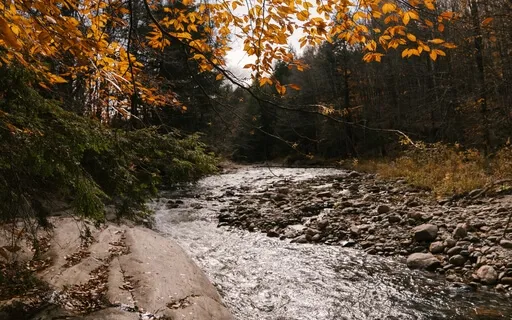 Yoga Nidra For Letting Go