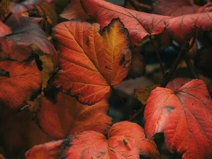 Yoga Nidra For Letting Go — A 20 Minute Journey