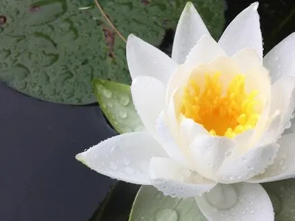 Yoga Nidra For Letting Go & Self-Discovery