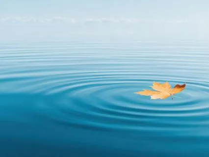 Yoga Nidra For Letting Go: The Practice Of Aparigraha