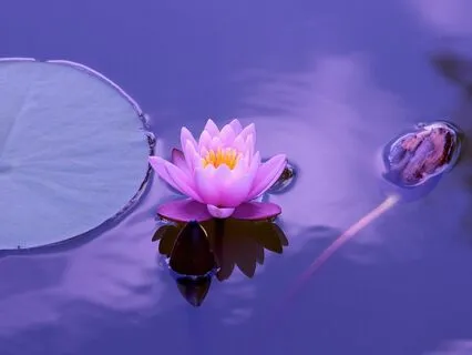 Yoga Nidra For Letting Go