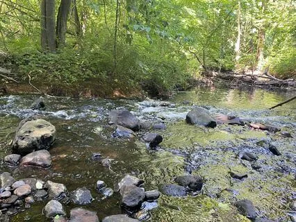 Yoga Nidra For Letting Go