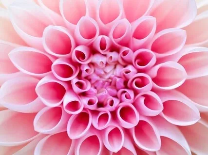 Yoga Nidra For Manifestation