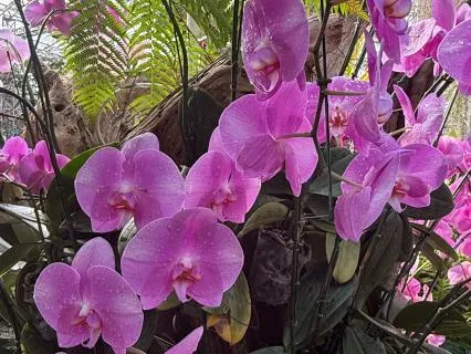 Yoga Nidra For Menopause | Deep Rest & Balance