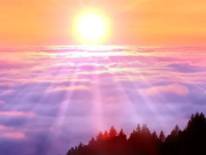 Yoga Nidra For Menopause | Embracing The Wise Woman Within