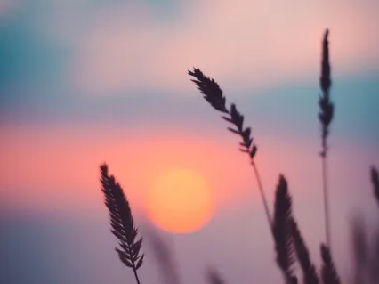 Yoga Nidra For Mental Balance To Release Anxiety & Stress