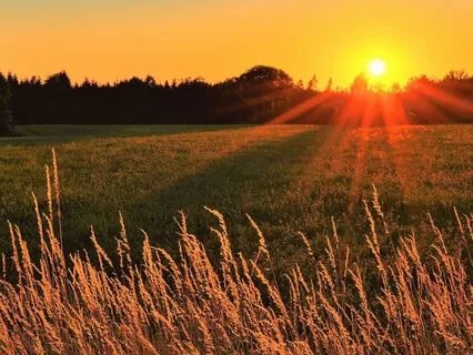 Yoga Nidra For Morning Wake Up