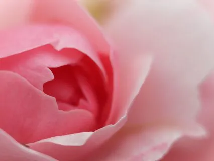 Soothing Rest | Soften Obstacles, Welcome Creative Insights