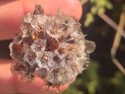 Yoga Nidra For Muladhara Chakra