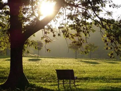 Yoga Nidra For Navigating Grief