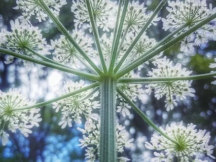 Yoga Nidra For New Beginnings