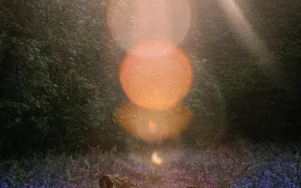 Yoga Nidra For New Beginnings