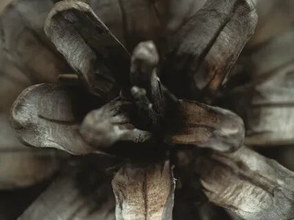 Yoga Nidra For New Beginnings