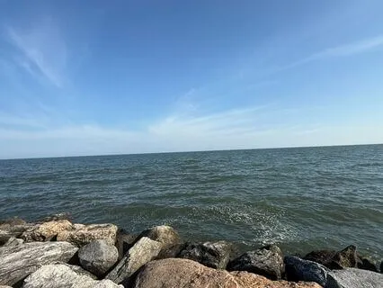 Yoga Nidra For Pain Relief And Recovery