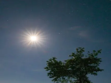Yoga Nidra For Parent Anxiety
