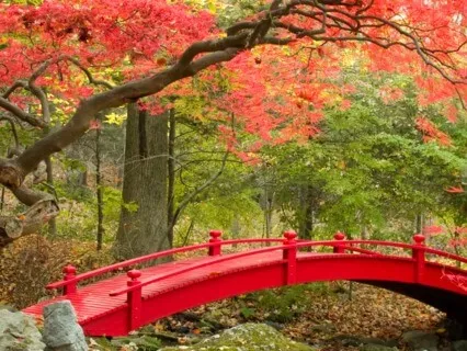 Yoga Nidra For Inner Peace