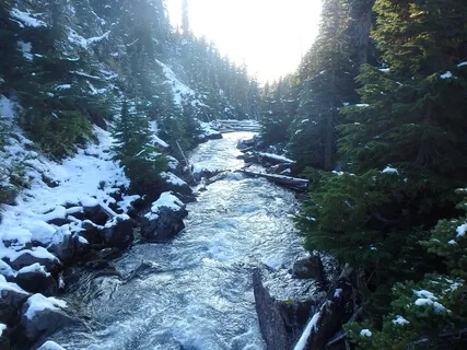 Yoga Nidra For Peace & Rest