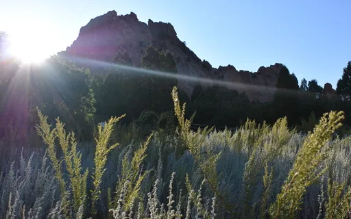 Yoga Nidra For Peace And Restoration