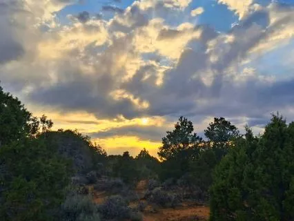 Yoga Nidra For Peace And Wellbeing