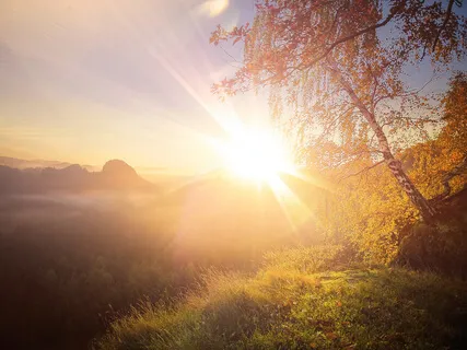 Yoga Nidra For Peaceful Rest