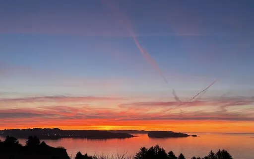 Yoga Nidrä For Pelvic Health Awareness 