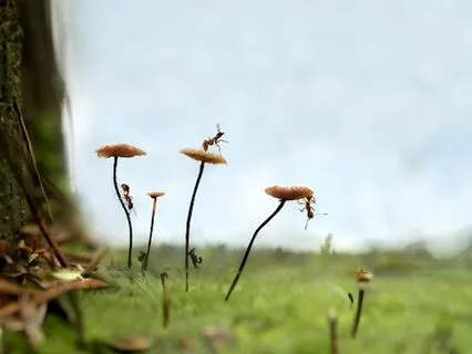 Yoga Nidra For Physical, Mental, And Emotional Balance