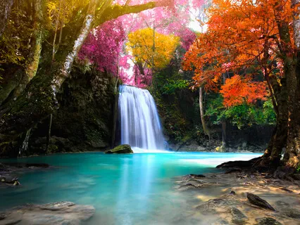 Yoga Nidra For Physical Pain