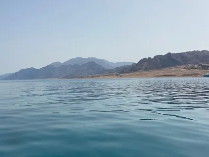 Yoga Nidra For Productivity Anxiety