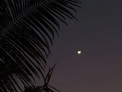 Yoga Nidra For Profound Relaxation And Combating Insomnia