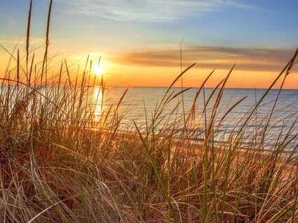 Yoga Nidra For PTSD Recovery