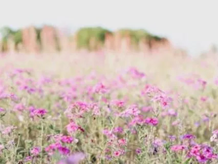 Yoga Nidra For Reconnecting To Self And Nature