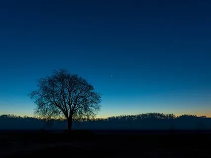 Yoga Nidra For Rejuvenation & Self-Love