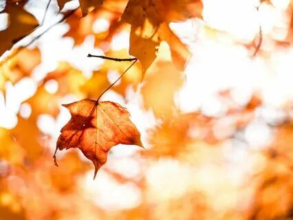 Yoga Nidra For Rejuvinating To Use Anytime