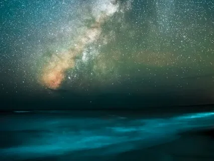 Yoga Nidra For Relaxation